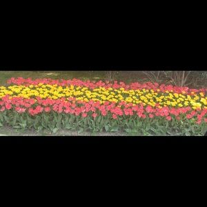 Meet your Posher, Maria